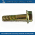 Yellow Zinc Galvanized Large Flange Bolt (M16X60)